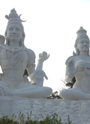 About Vizag Travels Image